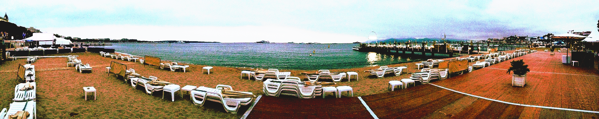 canne2
